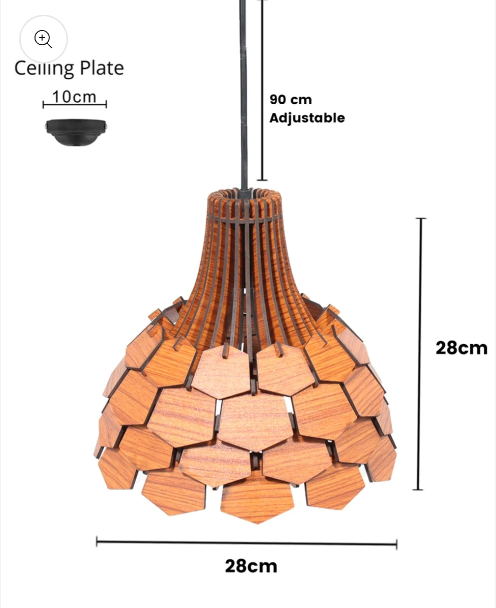 Shuttle wooden hanging
